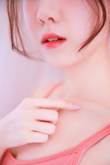 一条狗的使命百度云